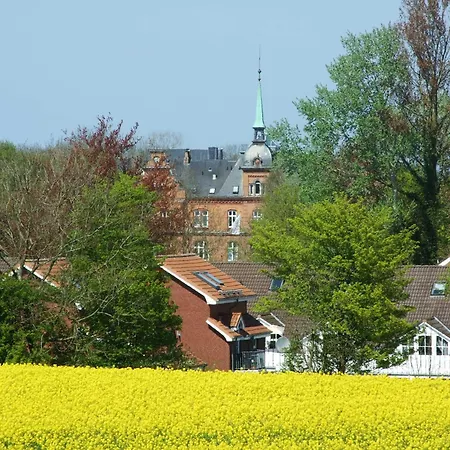 Seestern * Schönhagen