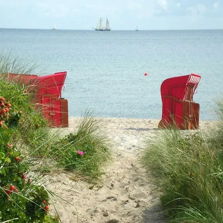 Seestern * Schönhagen